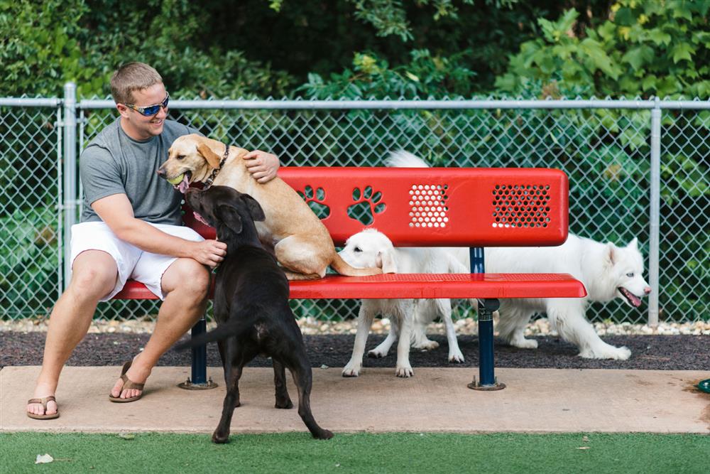 Dog Agility Equipment